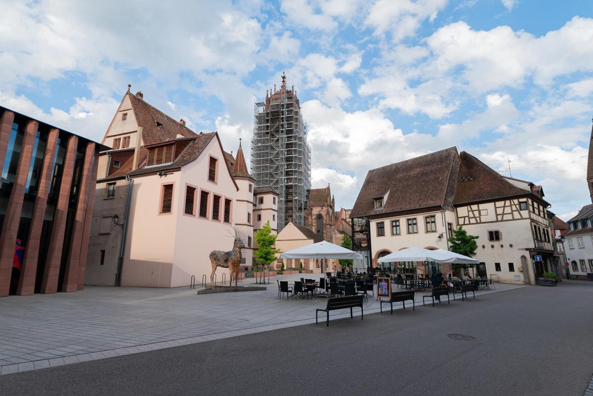 Le Repaire Du Chanceux Selestat Bagian luar foto