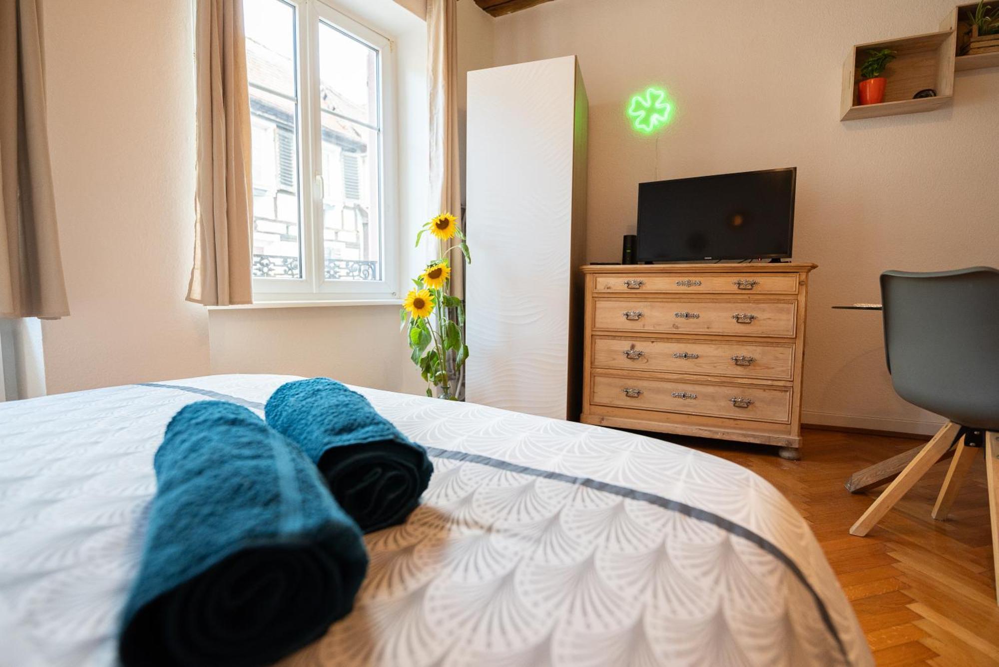 Le Repaire Du Chanceux Selestat Bagian luar foto